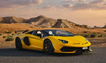 Lamborghini avantador (8)