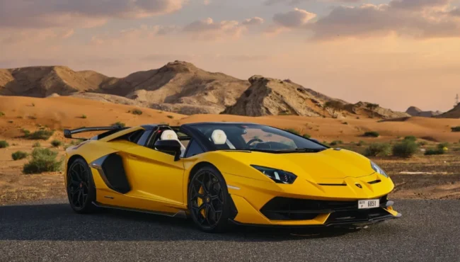 Lamborghini avantador (8)