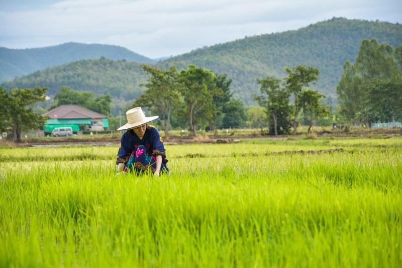 partir_a_chiang_mai_voyage_nord_de_la_thailande