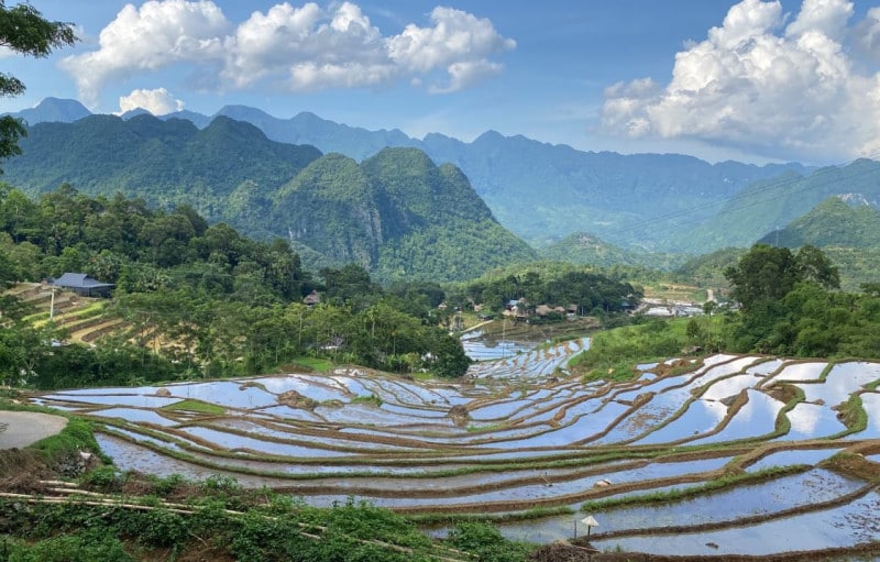 Les rizières en terrasse de Pu Luong