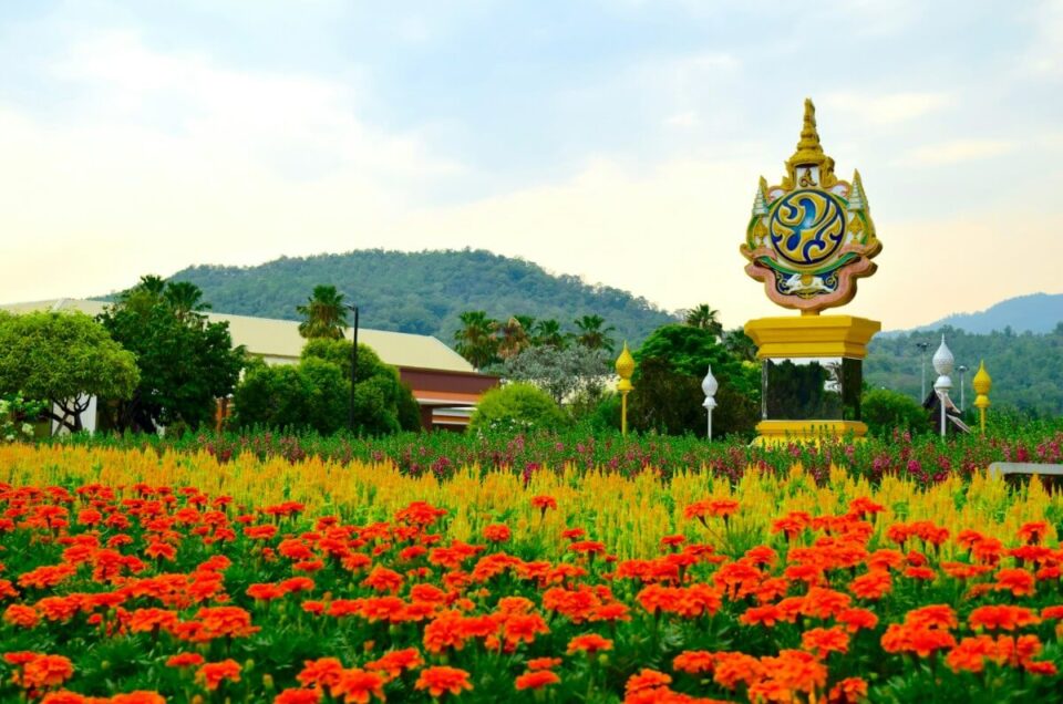 Festival des Fleurs de Chiang Mai