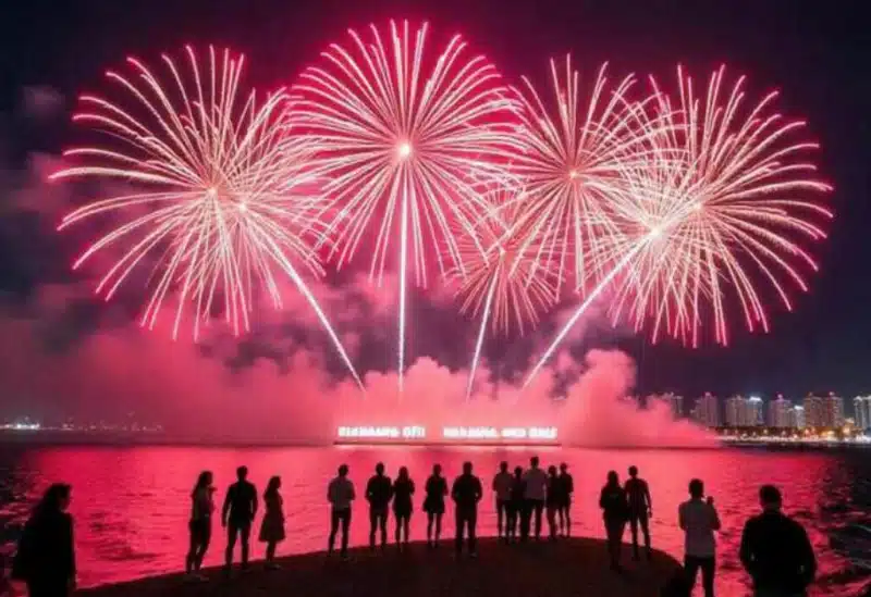 Festival International des Feux d’Artifice de Da Nang