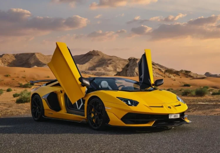 Lamborghini avantador (6)