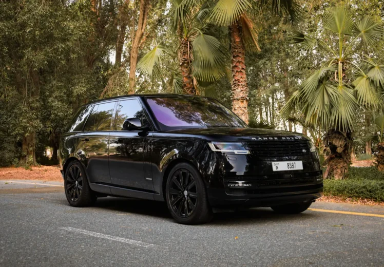 Range Rover vogue (4)