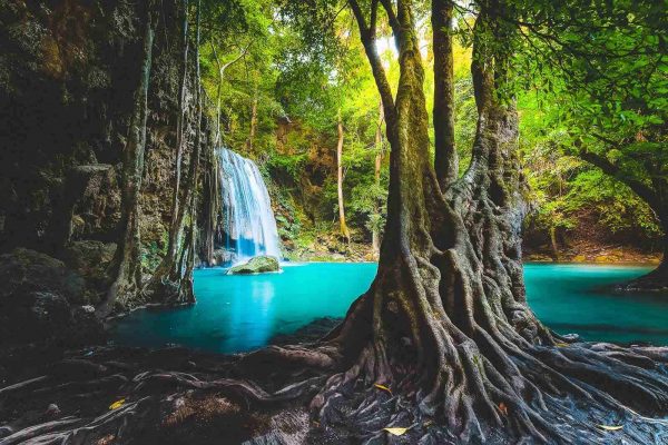 Erawan-Waterfall-Erawan-National-Park-Kanchanaburi-Thailand-Emerald-Waterfall9