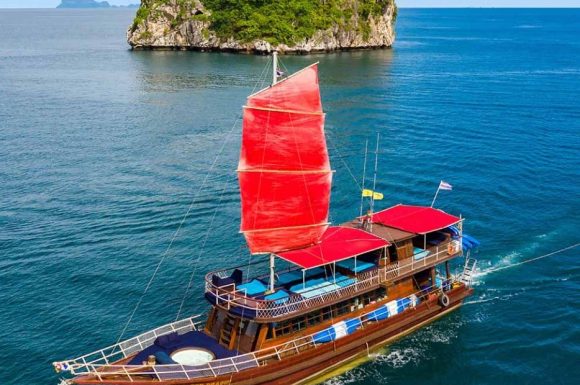 Expérience croisière & navigation