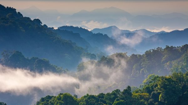 Morning,Mist,At,Tropical,Mountain,Range,this,Place,Is,In,The