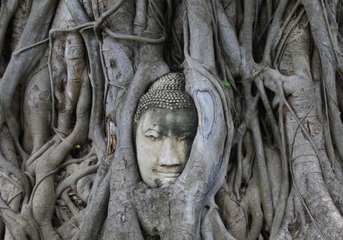 c2a9lespetitsvoyagesdelilly_ayutthaya_7642